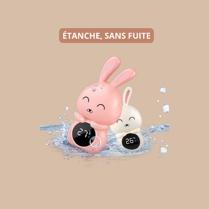Thermomètre de Bain